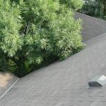 Roof-tree-rubbing