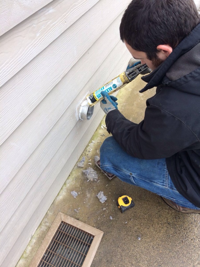 Rodent Proofing Gaps 