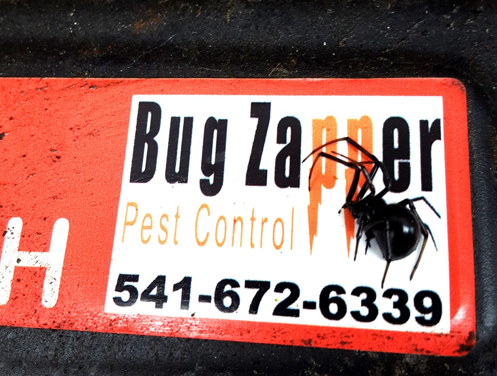 Spider Control is Our Business - Spider Control in Eugene